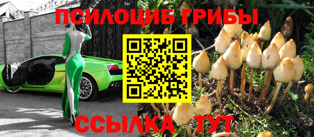 Бутурлиновка  Псилоцибиновые грибы мухоморы  Вход с VPN  Галлюциногенные грибы мицелий 